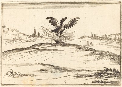 yanan anka kuşu by Jacques Callot