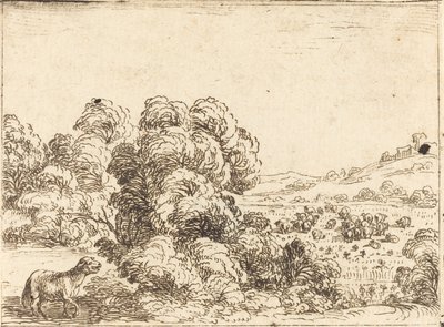 Kuzu Çağıran Koyun by Jacques Callot