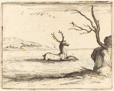 Sudaki Geyik by Jacques Callot