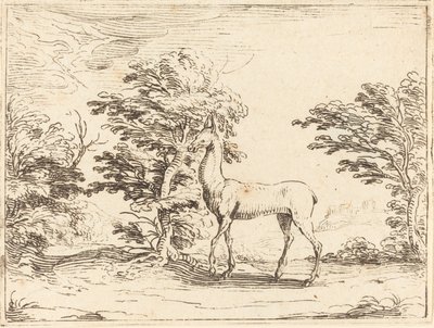 Doe by Jacques Callot