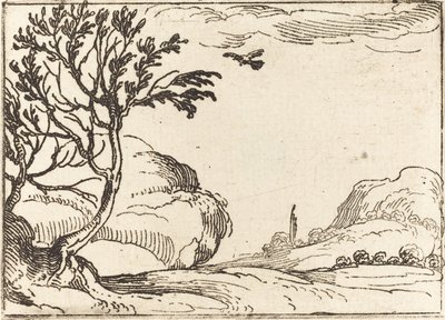 Çölde Uçan Kaplumbağa Güvercin. by Jacques Callot