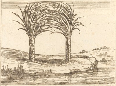İki Palmiye Ağacı. by Jacques Callot