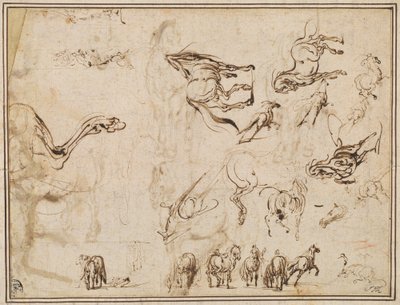 At Çalışmaları [verso] by Jacques Callot after Antonio Tempesta