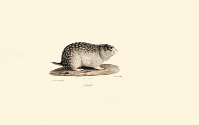  by Jacques Christophe Werner