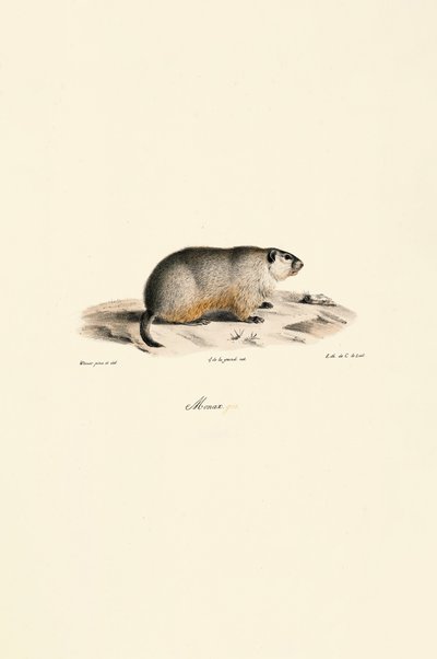  by Jacques Christophe Werner