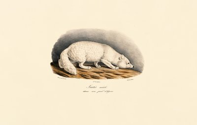  by Jacques Christophe Werner