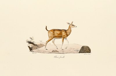  by Jacques Christophe Werner