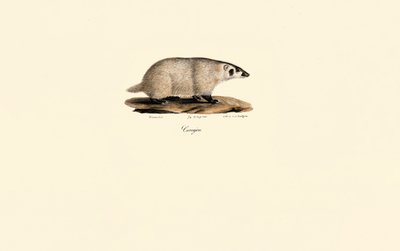  by Jacques Christophe Werner