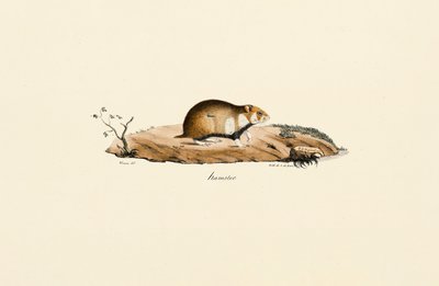  by Jacques Christophe Werner