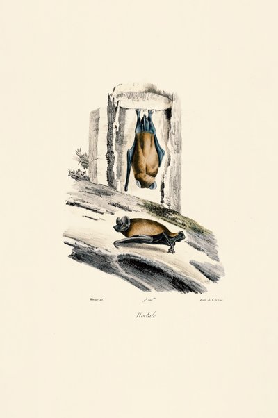  by Jacques Christophe Werner