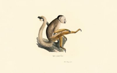  by Jacques Christophe Werner