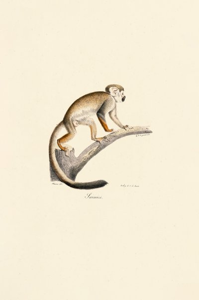  by Jacques Christophe Werner