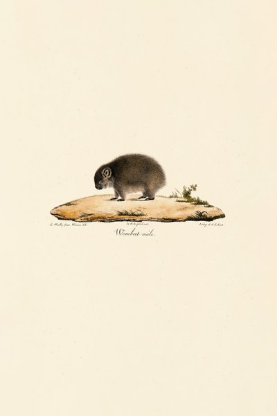  by Jacques Christophe Werner