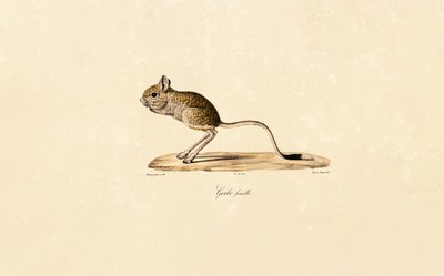  by Jacques Christophe Werner