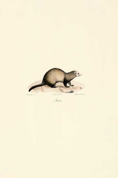  by Jacques Christophe Werner