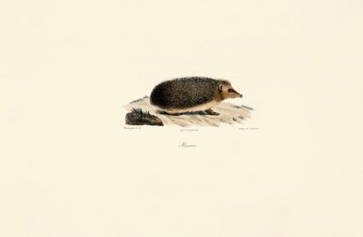  by Jacques Christophe Werner