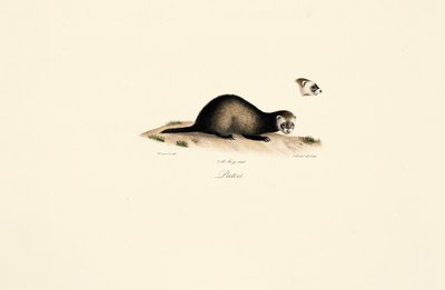  by Jacques Christophe Werner