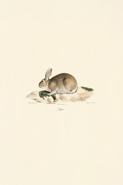  by Jacques Christophe Werner