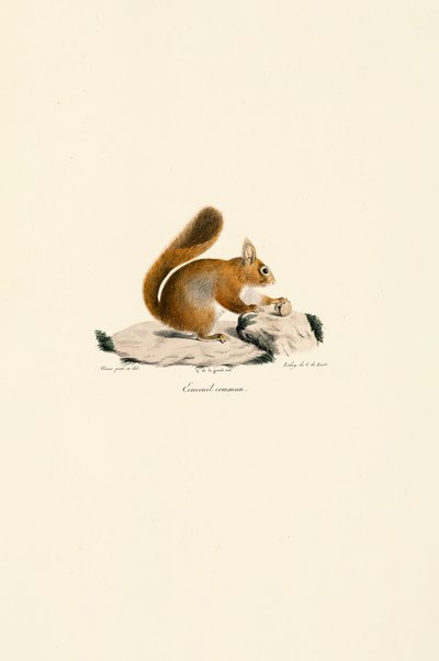  by Jacques Christophe Werner