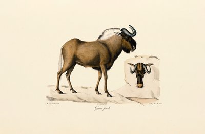 by Jacques Christophe Werner