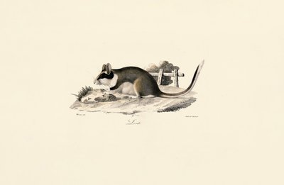  by Jacques Christophe Werner