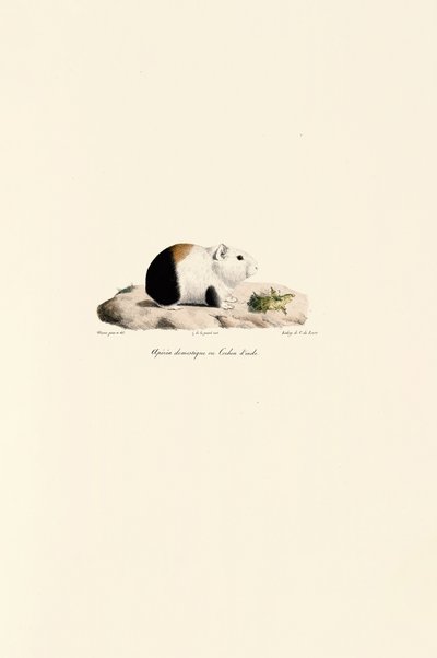  by Jacques Christophe Werner