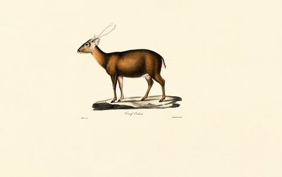  by Jacques Christophe Werner