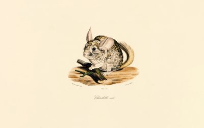  by Jacques Christophe Werner