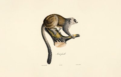  by Jacques Christophe Werner