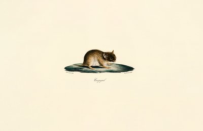  by Jacques Christophe Werner