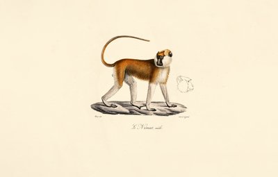  by Jacques Christophe Werner