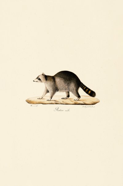  by Jacques Christophe Werner