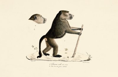  by Jacques Christophe Werner