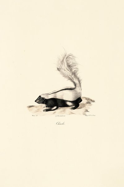  by Jacques Christophe Werner