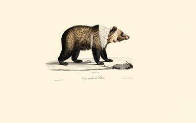  by Jacques Christophe Werner