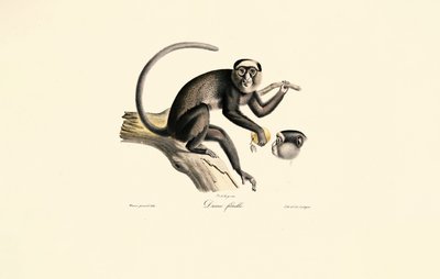  by Jacques Christophe Werner