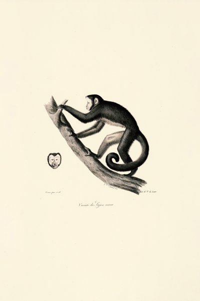  by Jacques Christophe Werner