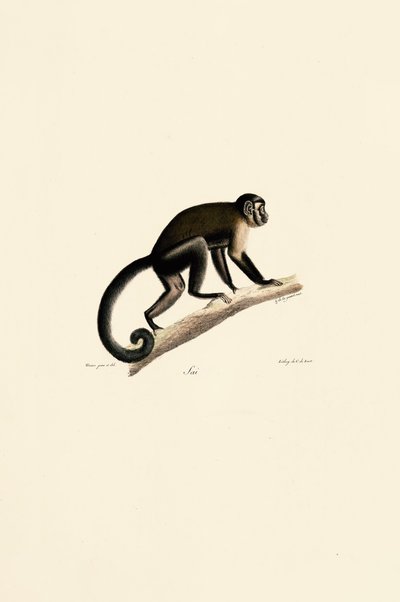  by Jacques Christophe Werner