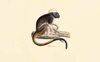  by Jacques Christophe Werner