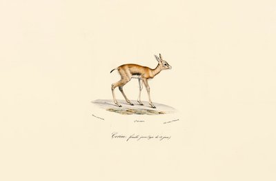  by Jacques Christophe Werner