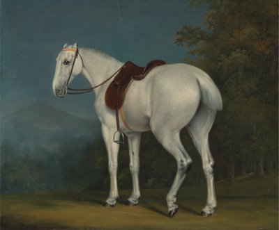 Bir Leydinin Gri Avcısı by Jacques Laurent Agasse
