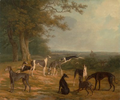 Bir Manzarada Dokuz Tazı by Jacques-Laurent Agasse