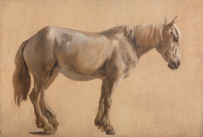 Bir Gri Atın İncelenmesi by Jacques-Laurent Agasse