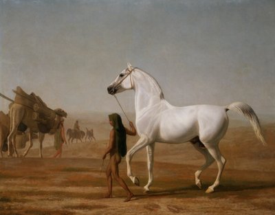 Wellesley Gri Arap Çölü Geçti by Jacques Laurent Agasse