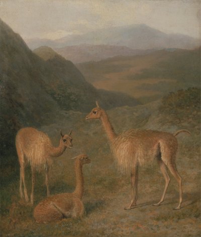Vicunalar by Jacques-Laurent Agasse