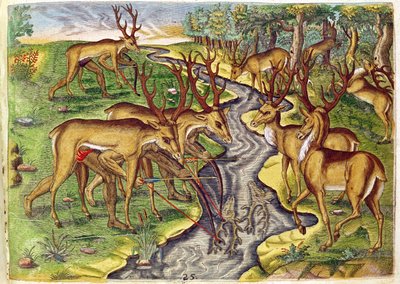 Theodore de Bry (1528-98) tarafından oyulmuş 