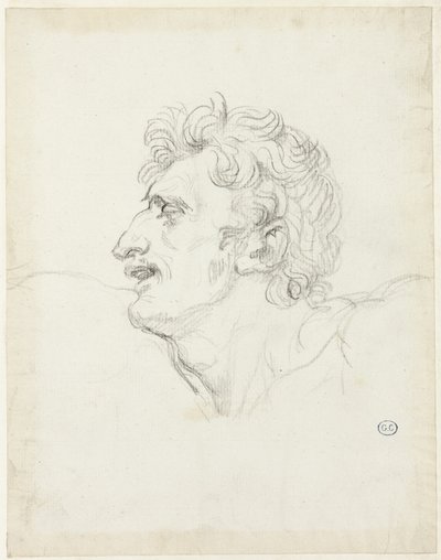 Bir Adamın Başı, Sol Profil by Jacques Louis David