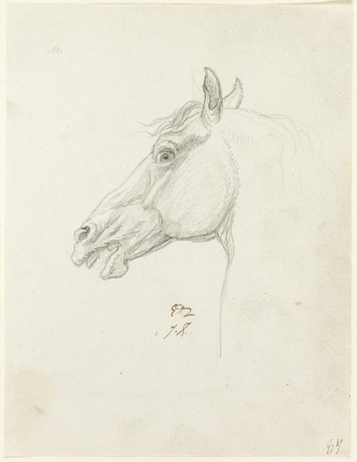 At Kafası by Jacques Louis David