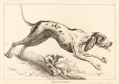 Chien Courent (Koşan Tazı) by Jacques Philippe Le Bas and Jean Eric Rehn after Jean Baptiste Oudry