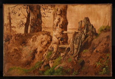  by Jacques Raymond Brascassat